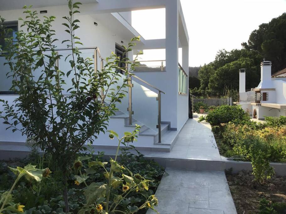 Zante Luxury Apartment 阿凯松 外观 照片